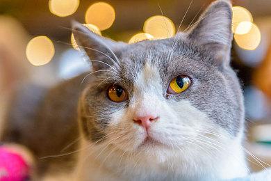 《我的世界》视频在油管点击量破万亿 成该平台最高人气游戏